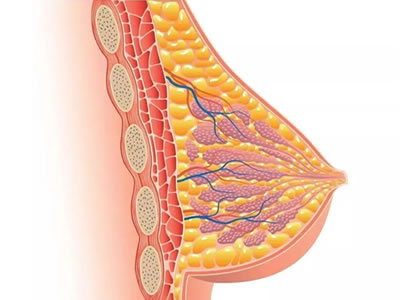 經(jīng)期乳房像針扎一樣刺痛？可能是你的身體正在發(fā)出求救信號(hào)！