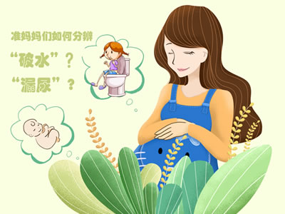 準(zhǔn)媽媽們?nèi)绾畏直妗捌扑边€是“漏尿”？